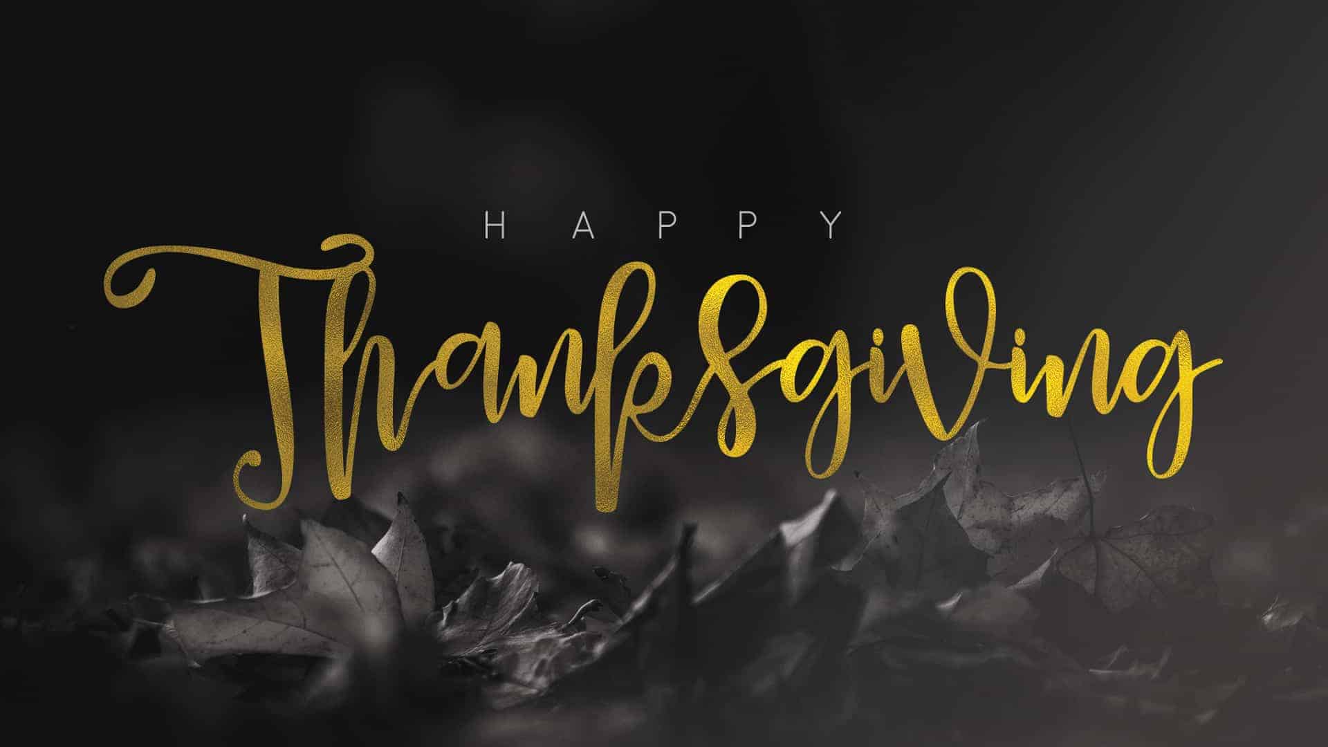 Happy Thanksgiving Graphic Pack • Freebridge Media