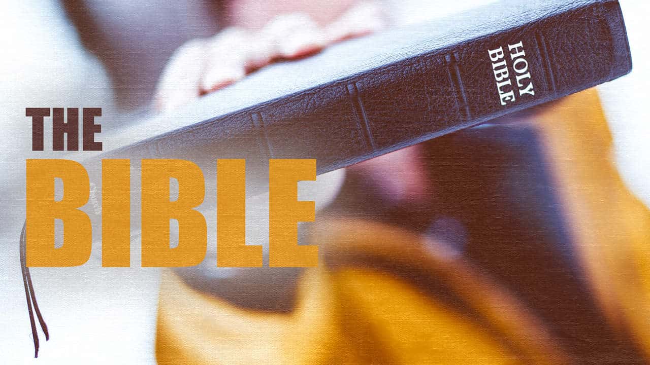 strife bible study