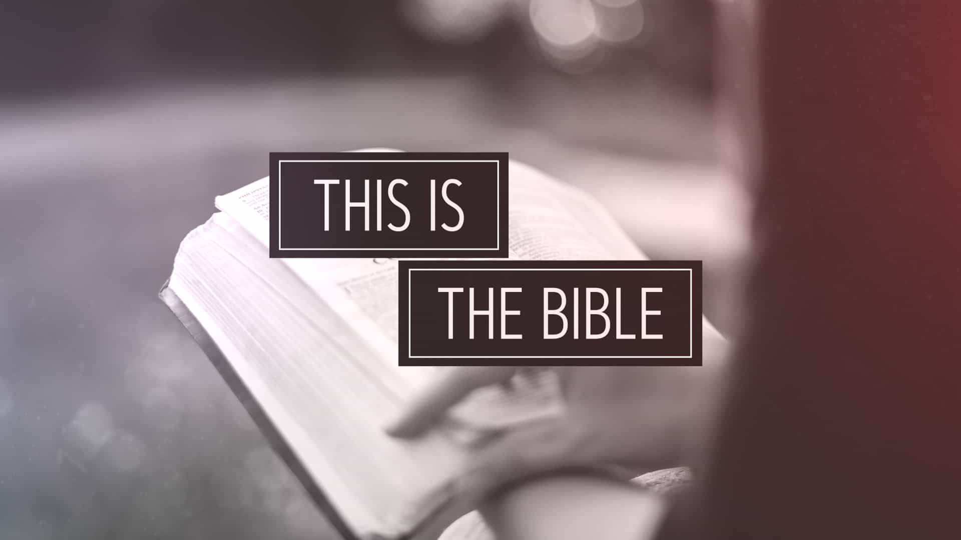 This Is The Bible • Freebridge Media