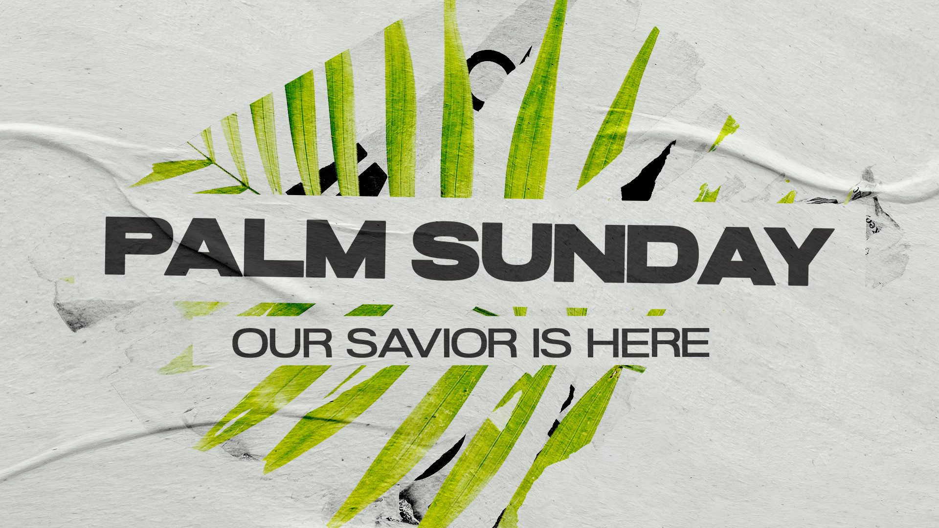 Our Savior Palm Sunday Social Media Pack